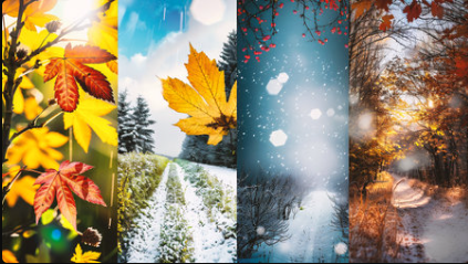 Bienvenue sur mon blog