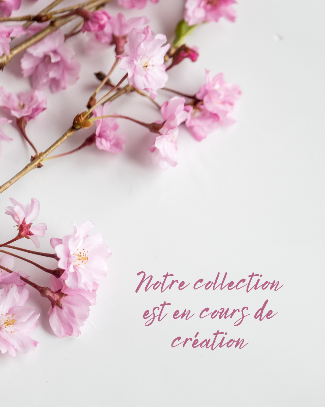 Collection Été