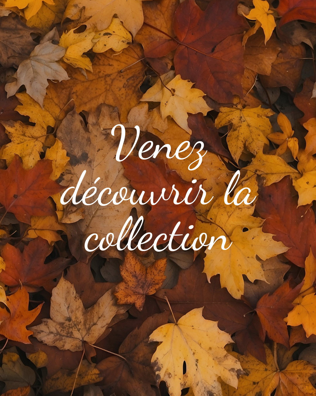 Collection Automne