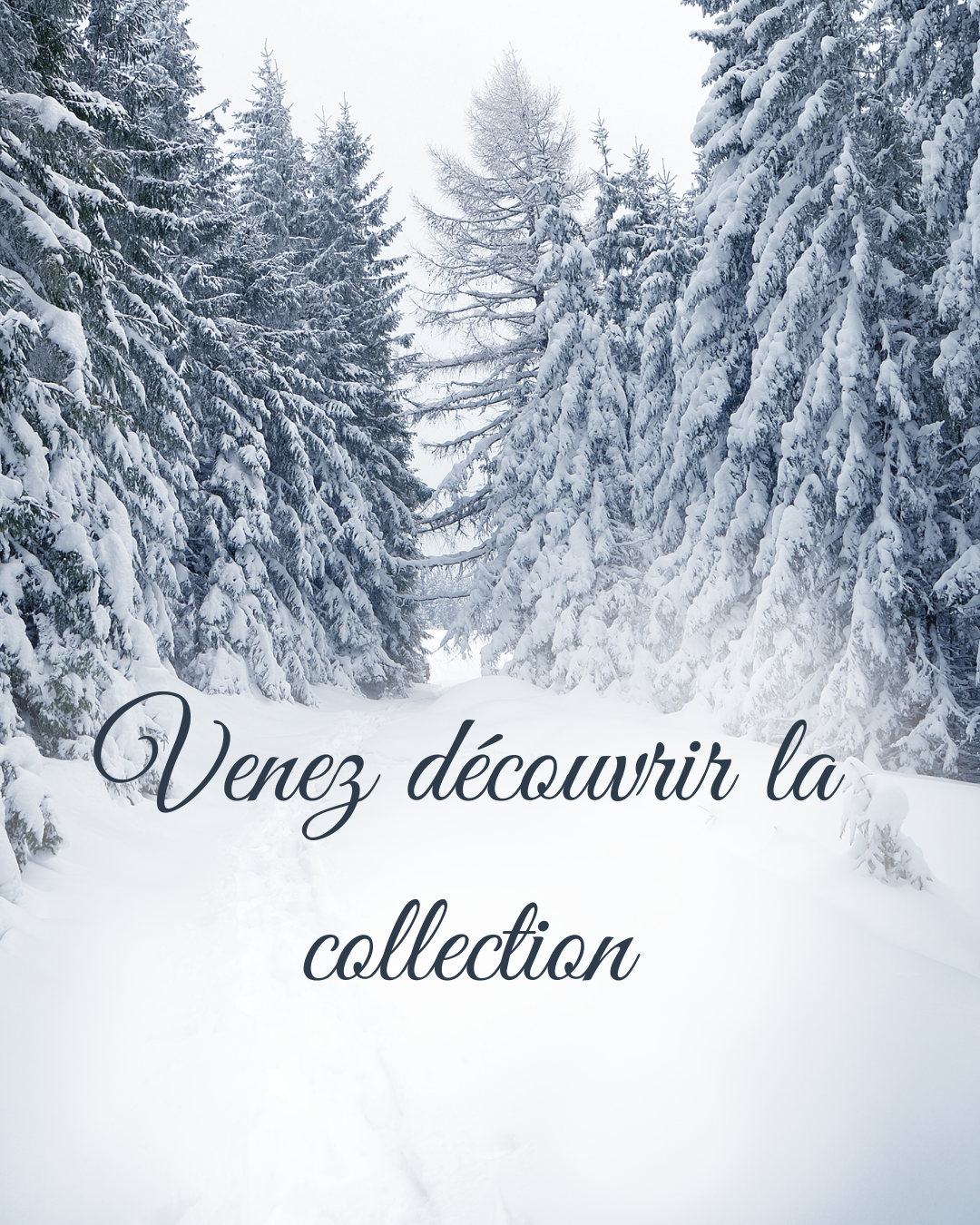 Collection Hiver
