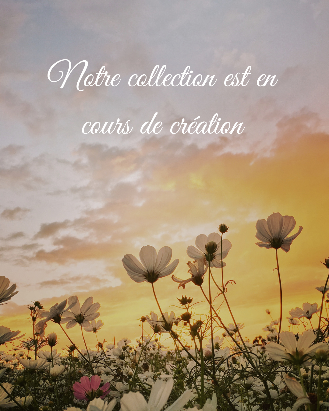 Collection Printemps